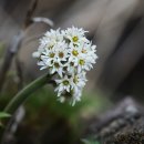 렌즈클릭 이미지