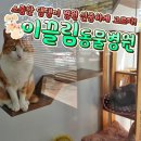 이끌림동물병원 이미지
