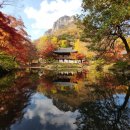 담양솔마루 | 2023년 단풍 절정 예상 지도 예상 시기. 단풍 명소 Best 14. 단풍 구경 가볼만한 곳 추천 리스트