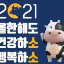 케어포 이미지