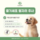 윤은채 재활 한방 동물병원 이미지