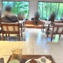 커피나무&힐링 | 부산 영도 숲뷰 카페 신기커피영도 힐링 후기(쑥클라우드, 바스크치즈케이크 맛집)