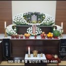 일선의전