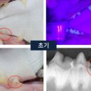 백동물병원 이미지