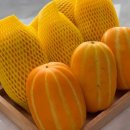 브리지팜 이미지