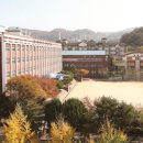 분당-271 이미지