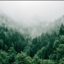 감성을 더한 글씨 수채 캘리그라피 3급 자격과정 | 본인의 취미가 곧 능력이 되는 시대 취득하기 쉬운 민간 자격증 추천