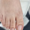 레푸스순천