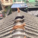 호수드림공인중개사사무소 이미지