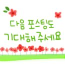 인셀덤센스