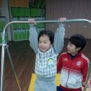 엑스포유치원 Daum카페