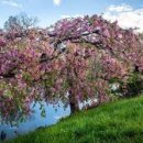 신성체력단련장 이미지