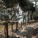 여섯개의 집들 이미지