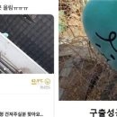 있다마켓 이미지