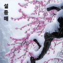 &#34;&#39;성남누비길&#39;(1구간)의 일부와 &#39;남한산성 역사테마길&#39;(1코스) 산책&#34;＜2025.01.26(일)＞ 이미지