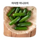 보내농장 | 한 입에 쏙 아삭함이 다른 미니오이 １ｋｇ 산지 직송 농장 후기