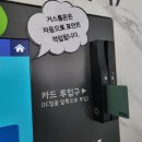 워시팡팡원주