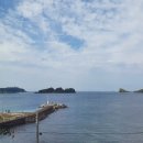 제주늘보의오후 이미지