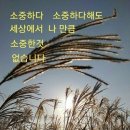 태경부동산중개 이미지
