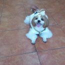 살랑살랑 이미지