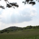 여왕목장 이미지