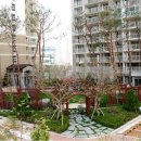 금호공인중개사사무소 이미지