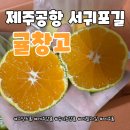 제주공항 서귀포길 귤창고 새콤달콤 아이도 잘 먹는 제주감귤 후기