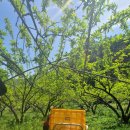 낙원농장4 이미지