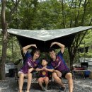 금방아 민박 캠핑장 이미지