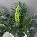 초록당구클럽 이미지