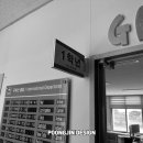 김제황강초등학교