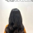 봄날,헤어 이미지