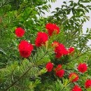 인천공촌초등학교 이미지