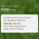와디즈펀딩 / [누적펀딩 6079%]비오틴 함량이 54배나 많은, 비오틴 폭탄 탈모샴푸