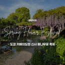 메이텐 | [공지] 도쿄 4월 5월 축제 카메이도텐 신사 등나무꽃 마츠리 일정 가는법 후기 총정리