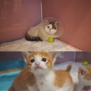 강무농장 이미지