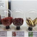 대조한의원 이미지