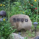 돌배황토