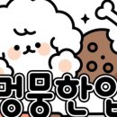 멍뭉한입 이미지