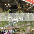 2018 벡스코 꽃과사람전시회 다녀온 후기