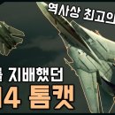 세계의 바다를 지배했던 "F-14 톰캣" / 역사상 최고의 함재기! [지식스토리] 이미지