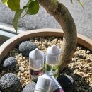 함안-2 | 창원전자담배 쥬시마켓 신규액상 2종 함안청포도 &amp; 김천자두 솔직 후기