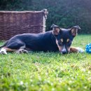 시흥식당 이미지