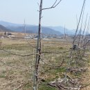 민이네농장 이미지