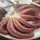 삼복횟집 | 방문 전 필수 체크리스트］ 역대급 해산물 60첩 반상! 생생정보 맛집 연안부두 '인천항구횟집' 솔직 방문기