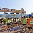 예산-21 이미지