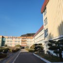 금양중학교 이미지