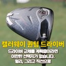 퀀텀링크 | 캘러웨이 퀀텀 드라이버 최저가 구매후기 및 최저가 할인구매정보 (feat. 골프존마켓,캘러웨이 여성...
