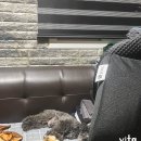 양원주동물병원 이미지