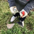 중앙농약농자재마트 이미지